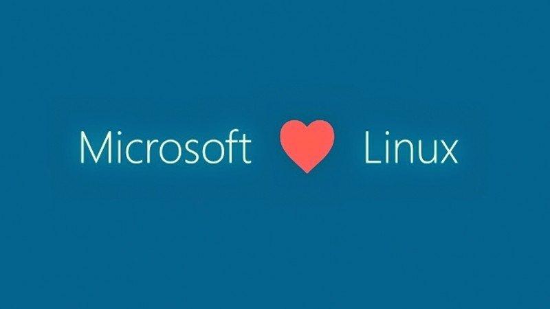 Windows e linux