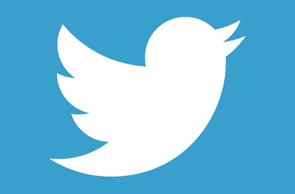twitter bird