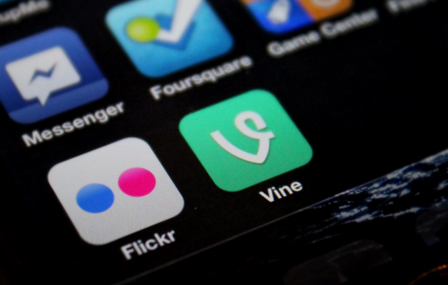 vine