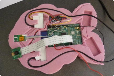 Raspberry Pi