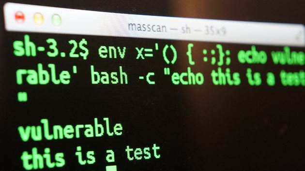 bash shellshock